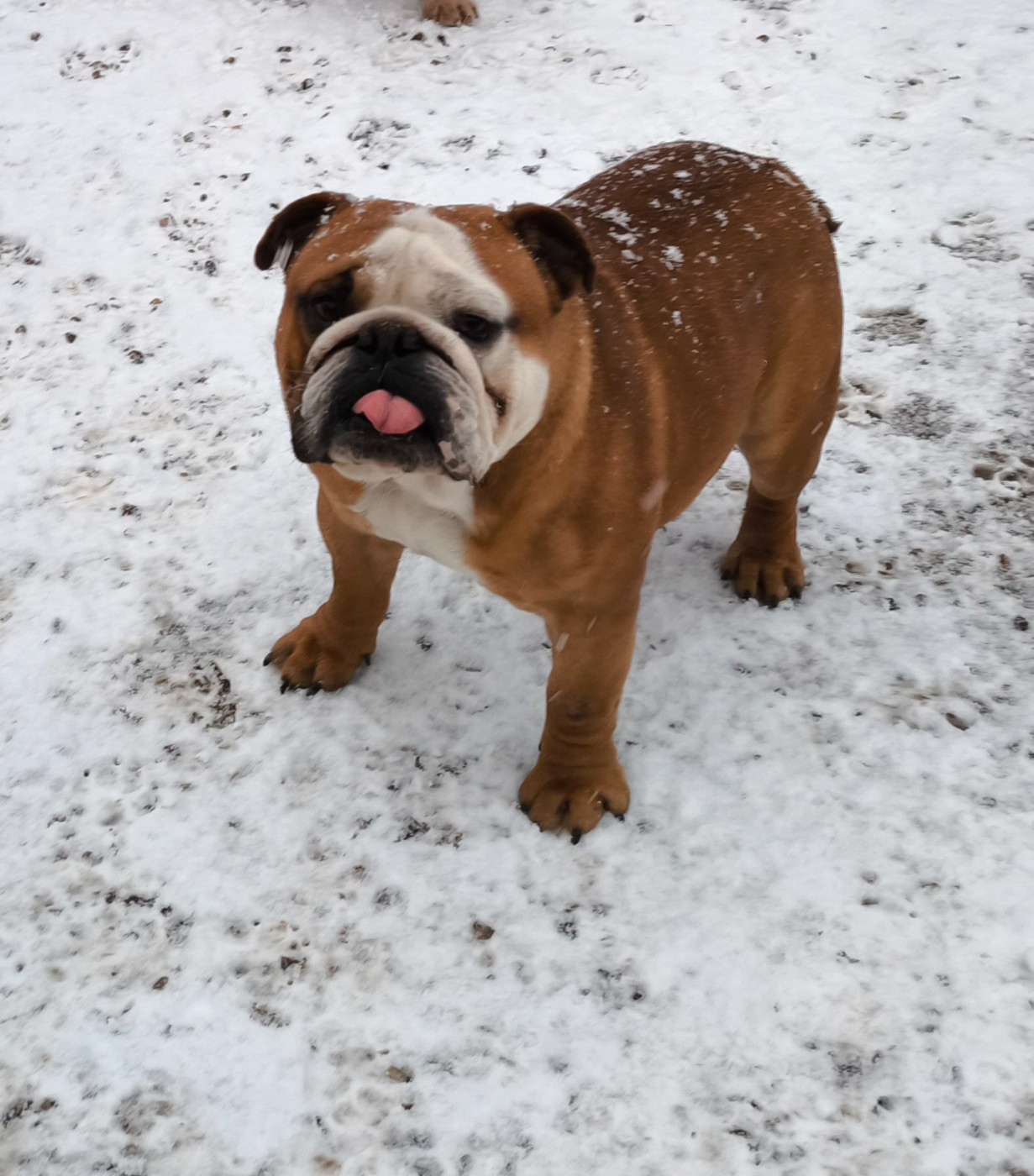 Venom De L'Esprit Céleste